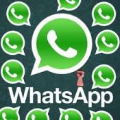 whatsapp service in ahmedabad