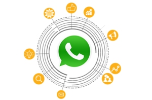 WhatsApp-Services in Ahmedabad