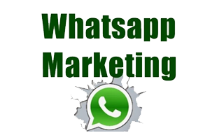 Whatsapp Services in Ahmedabad